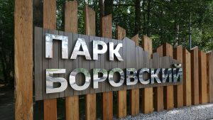 Активисты из Внукова примут участие в экологической акции. Фото: Владимир Смоляков, «Вечерняя Москва»