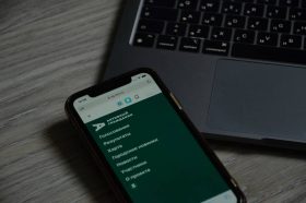 Произведения будут оценивать и местные жители, и члены жюри. Они выберут победителей в категориях «Любители» и «Профессионалы», а также в специальных номинациях, например, «Усадебный калейдоскоп» и «Лев-хранитель». Фото: Анна Быкова, «Вечерняя Москва»