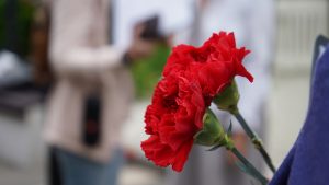 Патриотические мероприятия организуют для жителей и гостей Внукова. Фото: Анна Быкова, «Вечерняя Москва»