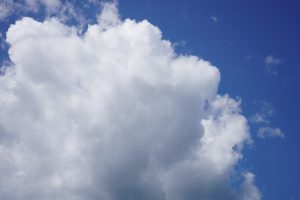 Качество воздуха измерили на территории района Внукова. Фото: Анна Быкова, «Вечерняя Москва»